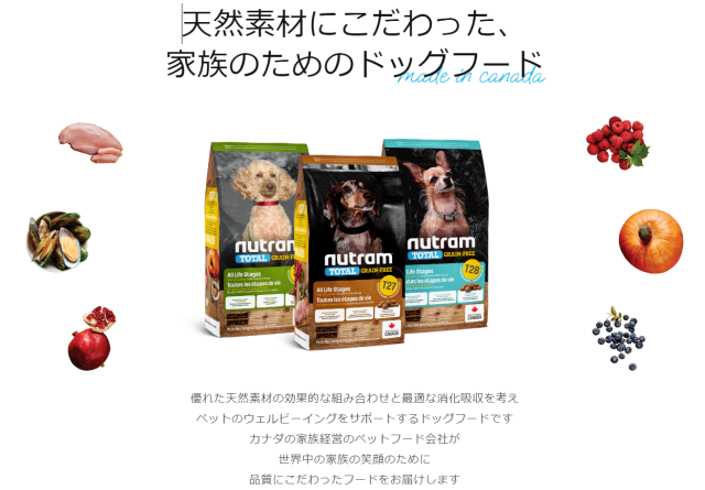 ニュートラム