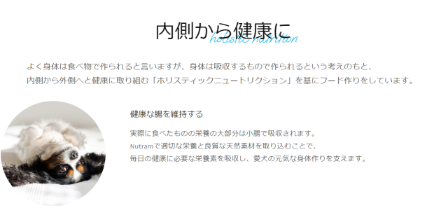 ニュートラム