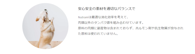 ニュートラム