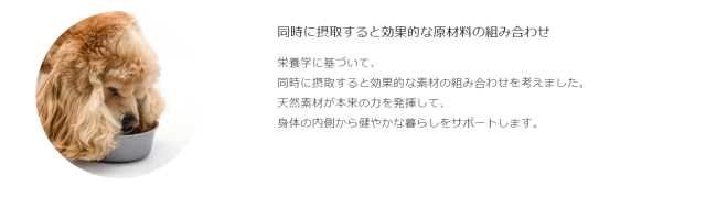 ニュートラム